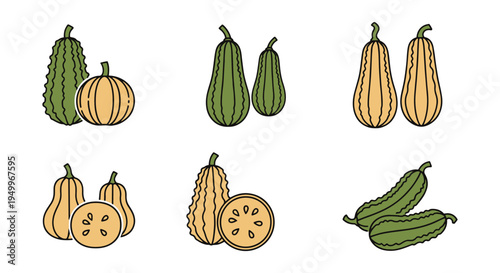 Ridge Gourd Line art vector creative vibrant abstract tone