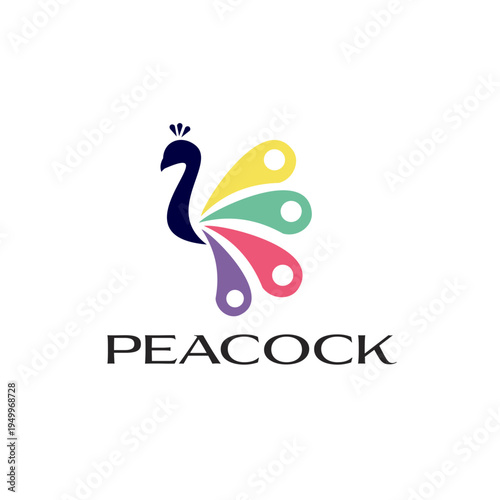Colorful Peacock Logo Design with Modern Stylized Feathers and Text