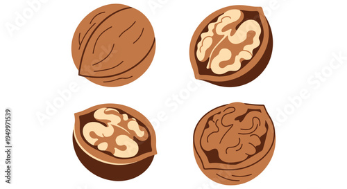 Organic Walnuts Line art minimal abstract vibrant color illustration