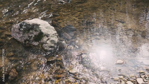 River with stone and reflection of the sun in the water calm water