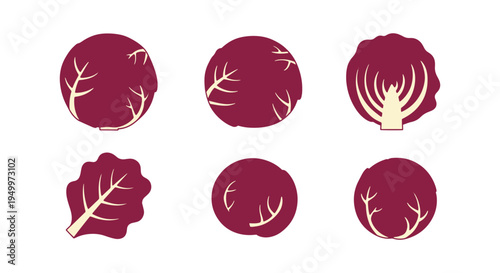 Red Cabbage Line art vector minimal abstract graphic color