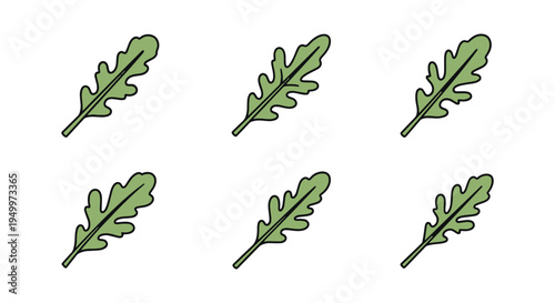 Rucola Line art vector set modern blended abstract color