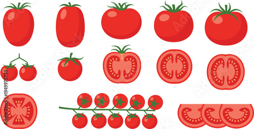 Tomato types and slices collection. Whole tomatoes, cherry tomato branch and cross sections. Fresh organic vegetable illustration for salad ingredients, cooking food, and farm harvest design.