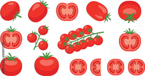 Tomato varieties and slices collection. Whole tomatoes, cherry tomato branch and cut halves. Fresh organic vegetable illustration for salad ingredients, cooking food, and farm harvest design.