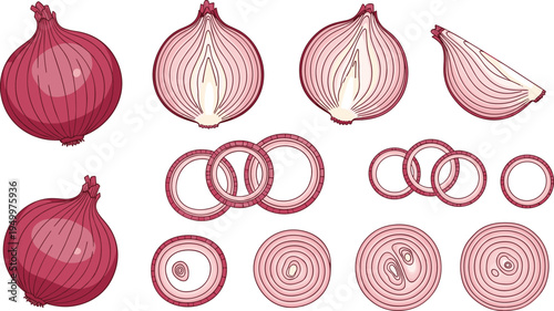 Red onion whole and sliced set. Fresh onion halves, wedges and ring slices. Organic kitchen vegetable illustration for cooking ingredients, food preparation, and farm produce design.