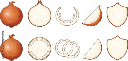 Onion cuts and slices set. Whole onion, halves, wedges and ring slices. Kitchen vegetable illustration for cooking ingredients, food preparation, and organic produce design.
