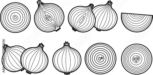 Onion outline illustration set. Whole onions, halves and round slices. Black line art vegetable collection for cooking ingredients, organic food design, and kitchen themes.