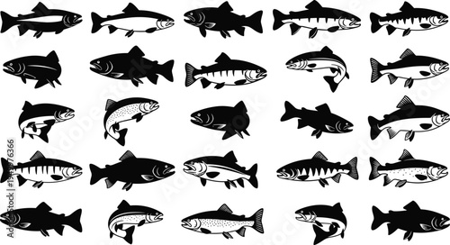 Collection of Freshwater Fish Silhouettes Set Black and White Vector Illustration Isolated Aquatic Wildlife Species Fishing Design Elements Pack