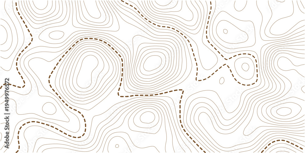 Fototapeta premium topography white background and black line wireframe isoline location diagram world map texture design. Vector Illustration.