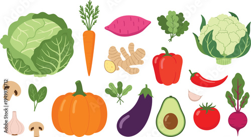 Fresh vegetable collection set. Cabbage, carrot, pumpkin, eggplant, avocado, pepper, tomato and cauliflower. Organic farm vegetables healthy food, cooking ingredients, and market produce.