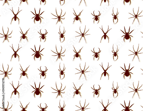 A seamless background with spiders.