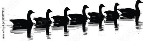 Duck silhouettes swimming on water wildlife bird vector illustration set isolated on white background nature lake reflection design