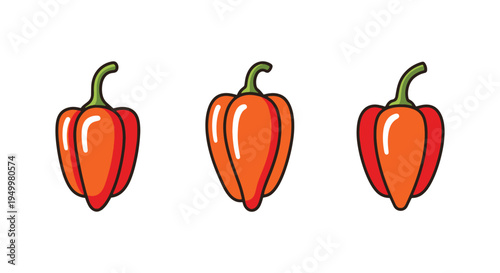 Scotch Bonnet Line art vector colorful abstract modern illustration