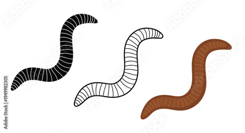Three worm illustrations in varying styles including a dark silhouette