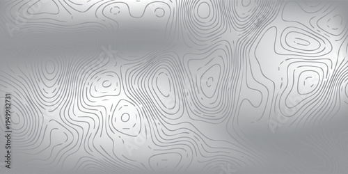 Abstract ripple ring pattern over gray gradient backdrop, smooth concentric circles forming modern geometric vector texture.