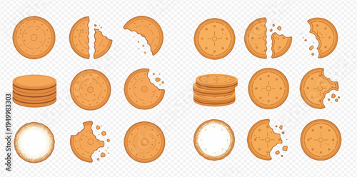 Set of round biscuits, whole, broken, and bitten, on a transparent background, perfect for snack illustrations.