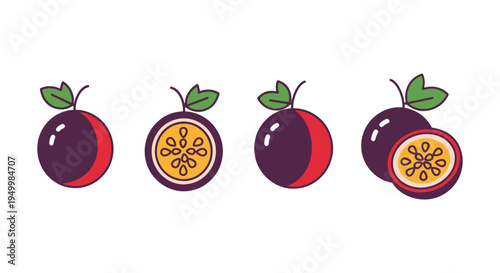 Passion Fruit Line art vector elegant abstract tone illustration