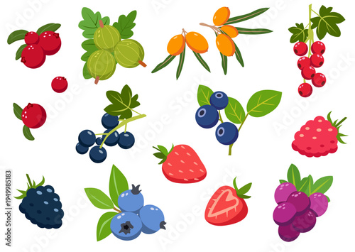 Berry set with strawberry, raspberry, blueberry, blackberry, currant, gooseberry, sea buckthorn, leaves, bright flat style on white background. For packaging, menus.