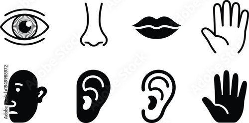 Human body parts icon set with eye nose lips ear hand and face outline and silhouette collection for anatomy, medical and health design