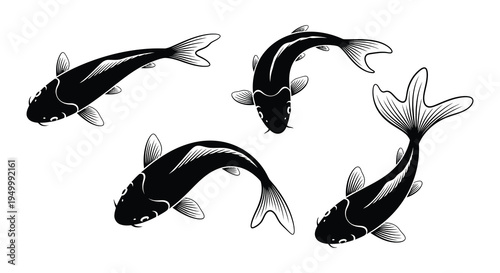 Four black koi fish swimming in a dynamic artistic arrangement