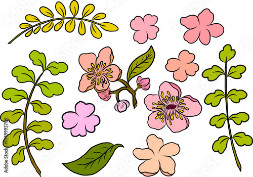 Free hand Sakura flower vector set, Beautiful line art Peach blossom isolate on white background.Cherry blossom illustration set.Element for weding card or printing on backdrop.
