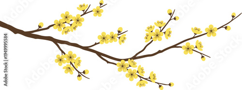 Spring blossom branch with yellow flowers illustration, blooming tree branch botanical nature vector design