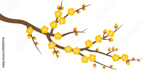 Yellow spring blossom tree branch illustration, blooming floral branch botanical nature vector design