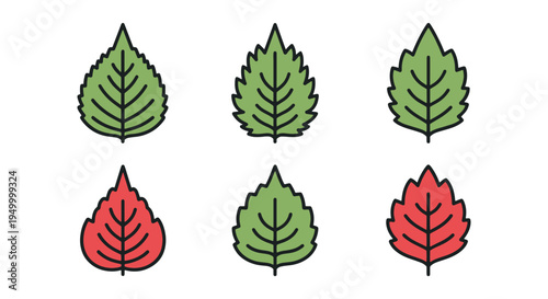 Perilla Line art vector set minimal smooth abstract color illustration