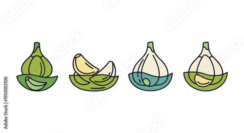 Pickled Garlic Line art vector creative artistic abstract