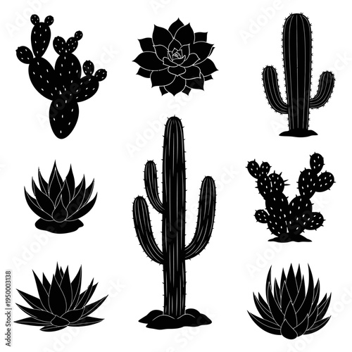 Collection of various cactus plants.
