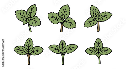 Spearmint Microgreen Line art dynamic contemporary abstract color vector