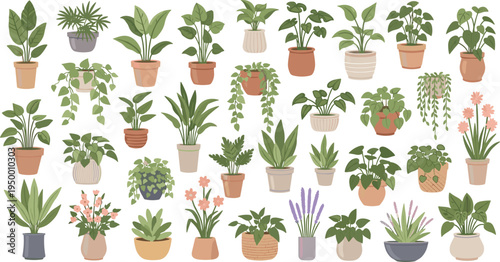 Cartoon Indoor Houseplants Collection with Potted Green Foliage Hanging Vines Blooming Flowers and Succulents for Botanical Home Decor Vector Design