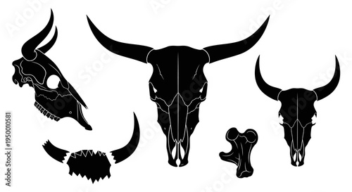 Black  White Vector Graphic of Assorted Animal Skulls and Bones