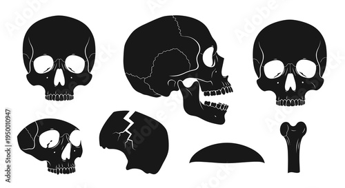 Black  White Silhouette Skulls and Bone Icon Set, Medical Art Style