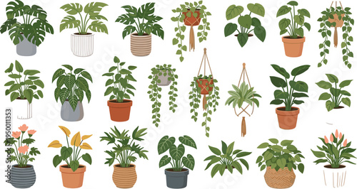 Cartoon Indoor Houseplants Collection with Potted Tropical Green Plants Hanging Vines and Decorative Planters for Home Decor Botanical Vector Illustration