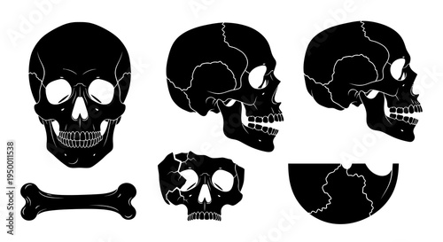 Black  White Vector Illustration of Skulls and Bone in Line Art Style