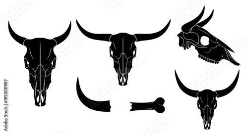 Black Silhouette Bull Skulls and Bone Vector Illustration - Western Art