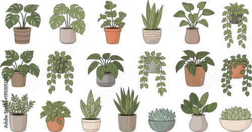 Cartoon Indoor Houseplants Collection with Potted Tropical Foliage Hanging Vines and Succulent Planters for Home Decor Botanical Vector Illustration Set