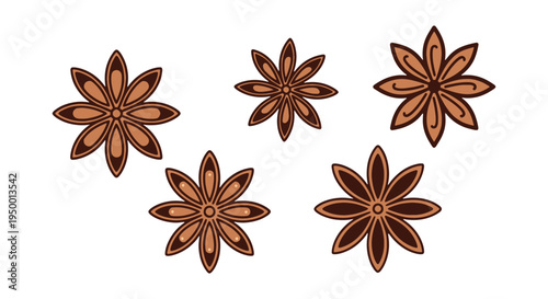 Star Anise Line art vector creative modern abstract illustration