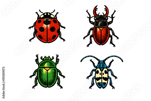 Set of four diverse beetle species including a ladybug and stag