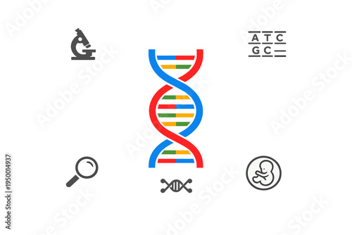 A flat vector illustration featuring a colorful DNA double helix