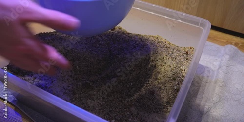 Aquascaping shallow aquarium