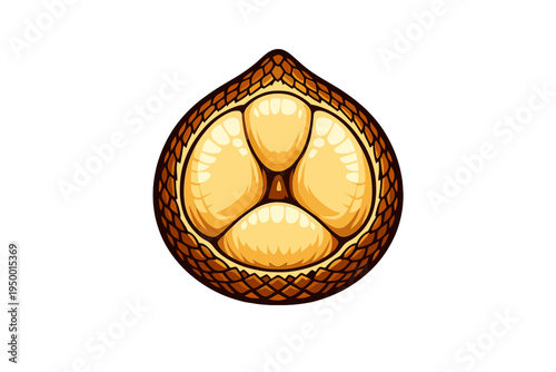 A stylized vector illustration of an open salak fruit, also known as