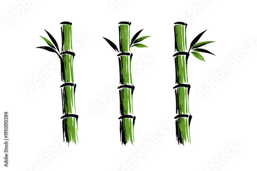 Fotografia Artistic illustration of three green bamboo stems with leaves