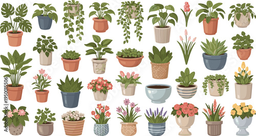 Cartoon Indoor Houseplants and Succulent Collection with Decorative Flowerpots Hanging Vines Blooming Plants and Tropical Foliage for Home Decor Vector Set