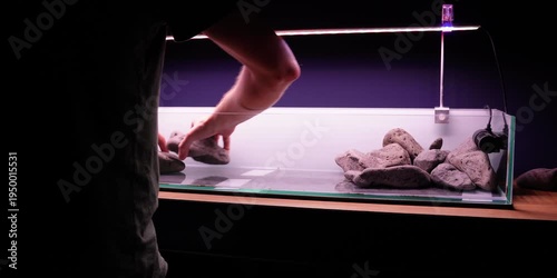 Aquascaping shallow aquarium