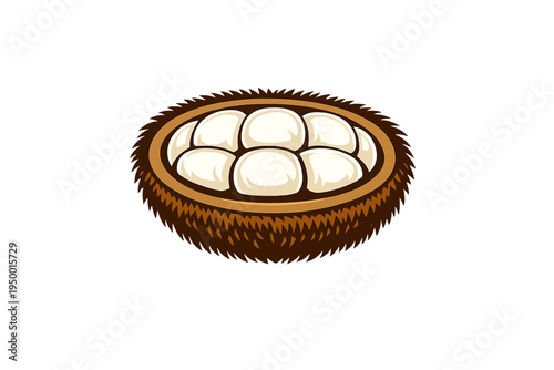 This vector illustration features a cross-section of a tropical