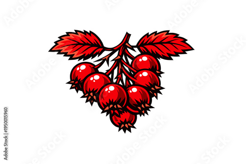 A bold vector illustration of a bunch of ripe red berries hanging
