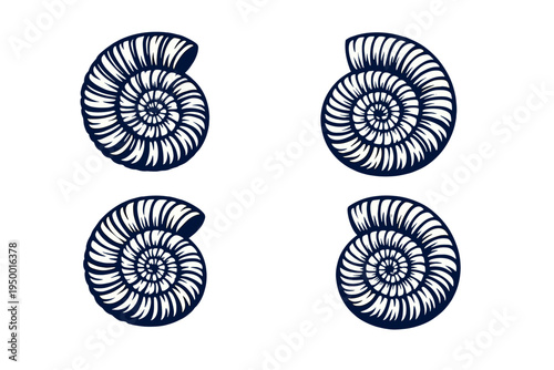 Foto A set of four stylized ammonite fossil illustrations in a dark blue