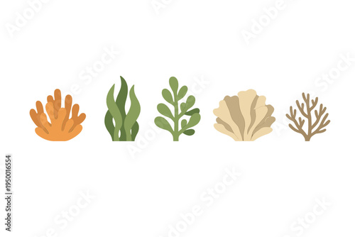A collection of five stylized marine plants and corals in a paper-cut